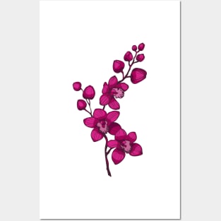 branch with purple orchid flowers Posters and Art